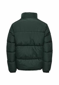 Dark green puffer jacket, features a high collar, quilted texture, elastic cuffs, and a straight hem. Minimal branding on the back.