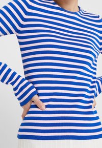 Blå och rosa randig långärmad tröja med rund halsringning och ribbad textur, med figursydda ärmar och rak skärning.