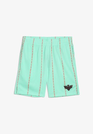 Pantaloncini sportivi in mesh verde chiaro con linee di testo verticali rosse e un emblema nero alato sulla gamba sinistra.