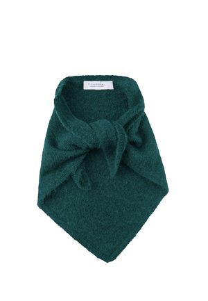 Bufanda de punto verde oscuro con un lazo atado en la parte delantera y una etiqueta blanca visible en el interior que dice RichRoyal.