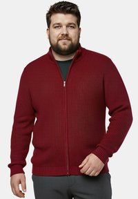 Červený svetr na zip s ribovanou strukturou, vysokým límcem a dlouhými rukávy. Vyznačuje se kontrastní podšívkou a přiléhavým pasem.