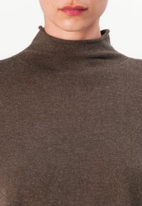 Pull à col roulé marron, texture en maille fine, avec un col ajusté et un design sans couture. Pas de motifs visibles ni de détails en matériel.