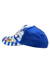 Gorra de béisbol azul con un diseño estructurado. Presenta un visera a rayas con personajes de dibujos animados y una parte trasera de gorra azul sólida. Fabricada en tela.