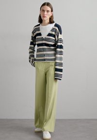 rag & bone CYRUS STRIPE - Cardigan - salute