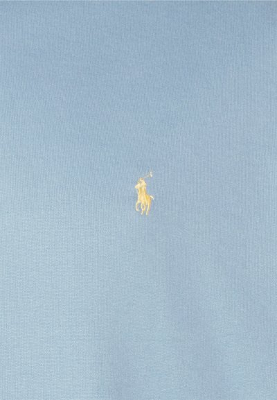 Polo Ralph Lauren Big & Tall THE RL FLEECE HOODIE - Sweatshirt com capuz - blue note