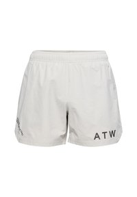 Shorts - silver lining