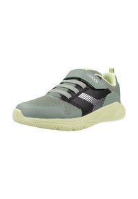 Geox SPRINTYE - Zapatos de bebé - grün