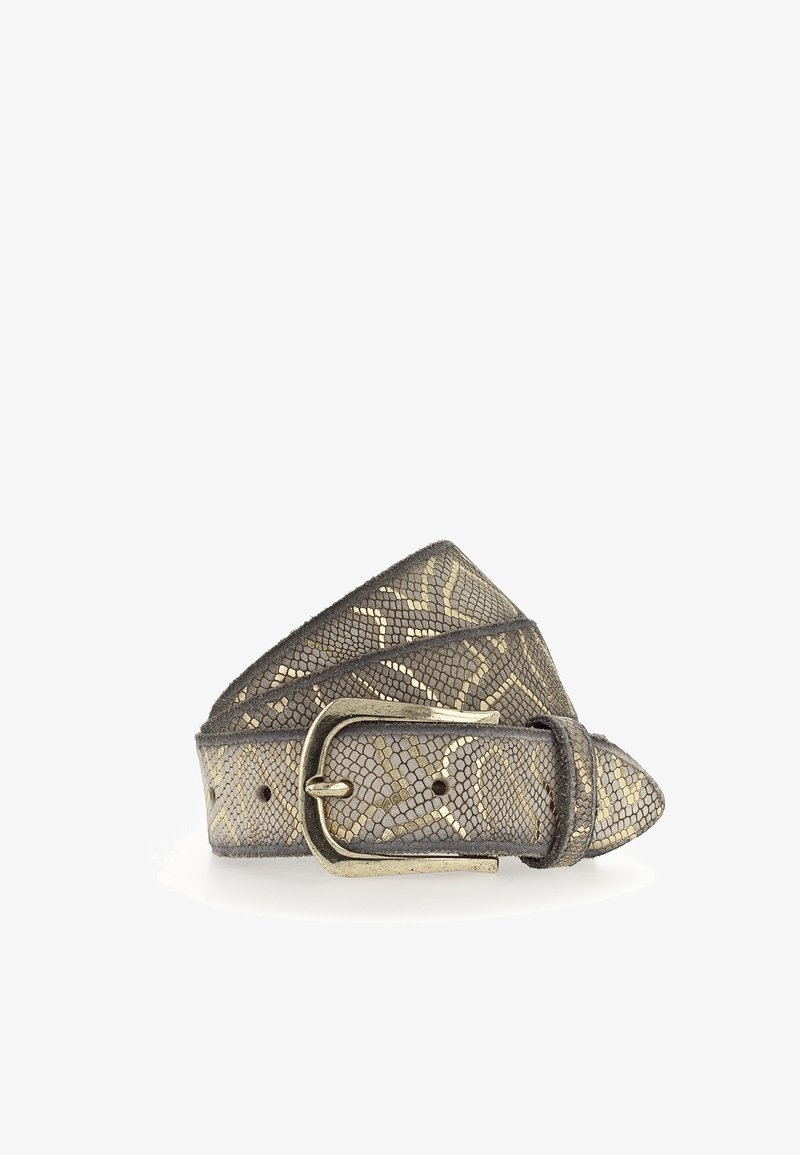 Ceinture gris métallisé avec un motif de serpent texturé, dotée d'une boucle dorée et d'un bout pointu. Le matériau semble être du cuir.