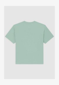 Vybráno, iceberg green