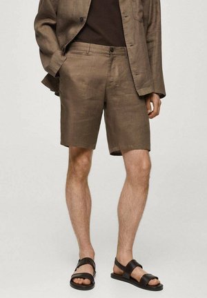 Bruine linnen korte broeken met een op maat gemaakte pasvorm, voorzien van een knoopsluiting aan de voorkant en zijzakken, gecombineerd met zwarte platte sandalen.