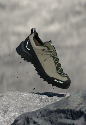 WILDFIRE 2 GTX - Outdoorschoenen - shadow/black