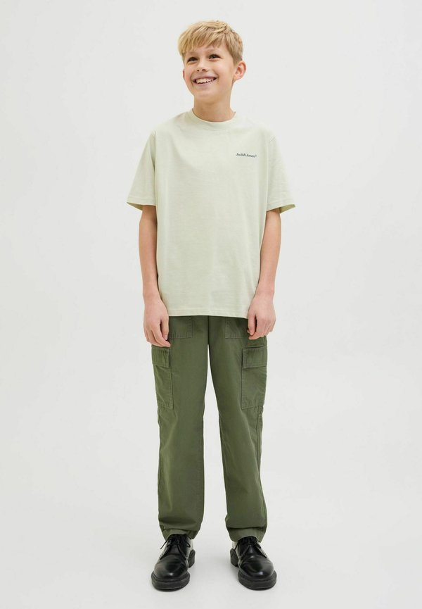 T-Shirt print - celadon tint