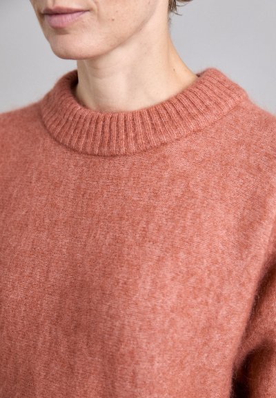 Rust-colored sweater with a ribbed round neckline and soft, textured fabric. Close-up view highlights the cozy knit design.