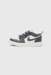 JORDAN LOW UNISEX - Αθλητικά παπούτσια - iron grey/summit white