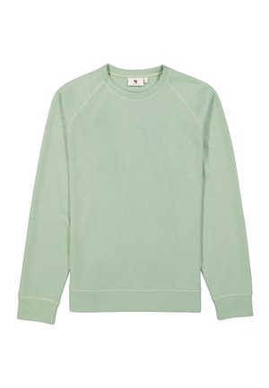 Lichtgroene sweatshirt met een klassieke ronde hals, lange raglanmouwen en ribgebreide manchetten. Soepele textuur, geen zichtbare patronen of accenten.