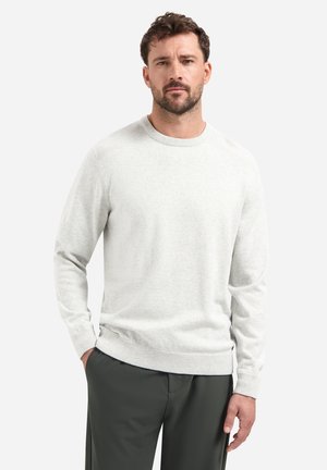 Lichtgrijze trui met een gestructureerd raglanontwerp, ronde halslijn, lange mouwen en geribbelde manchetten, gecombineerd met donkergroene broeken.