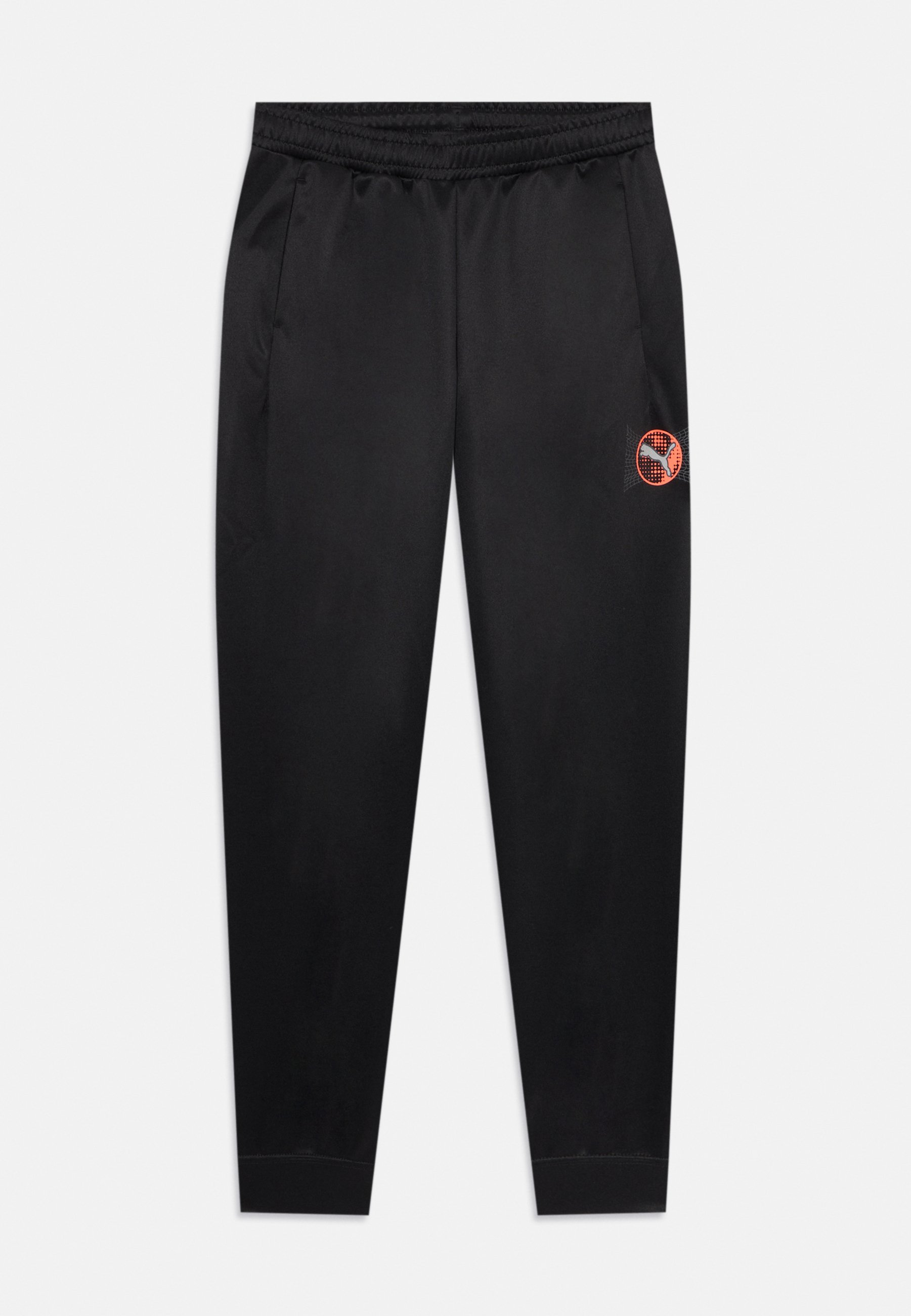 Puma ACTIVE SPORTS GRAPHIC PANTS UNISEX Tracksuit bottoms