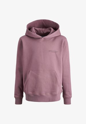 RÜCKENPRINT - Pulover s kapuco - grape shake