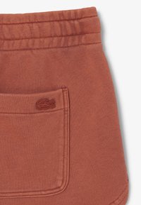 Shorts couleur terre cuite avec une texture douce, une taille élastique et un petit logo de marque en relief sur la poche arrière.