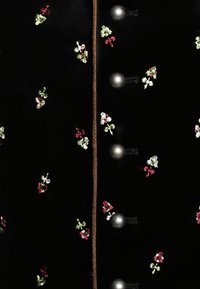 Tissu noir avec petite broderie florale rouge, blanche et verte, comportant une rangée verticale de boutons ronds argentés et un passepoil marron.