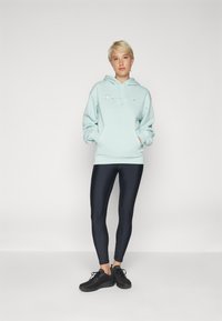 Champion ICONS HOODIE TONAL LOGO LARGE - Sportinis megztinis - surf
