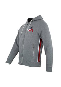 Peak Mountain CHARLES - Felpa con zip - light grey