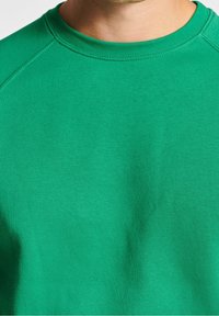 Felpa verde realizzata in tessuto misto cotone. Presenta un classico colletto a girocollo e maniche raglan con una superficie liscia e testurizzata.