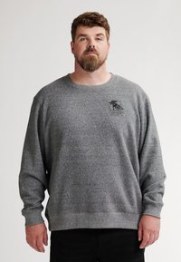 Sudadera gris de tela suave. Presenta mangas largas, un cuello redondo y un pequeño logotipo impreso en el lado izquierdo del pecho.