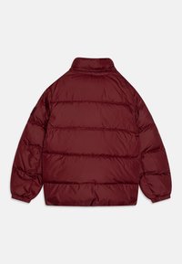 Tommy Hilfiger ESSENTIAL - Chaqueta de invierno - deep rouge