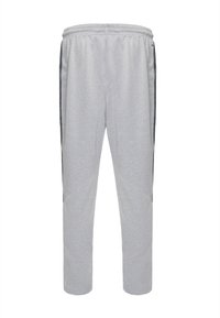 Pantalones de chándal grises hechos de material suave con una cinturilla elástica, que presentan detalles laterales en un color más oscuro y piernas ajustadas.