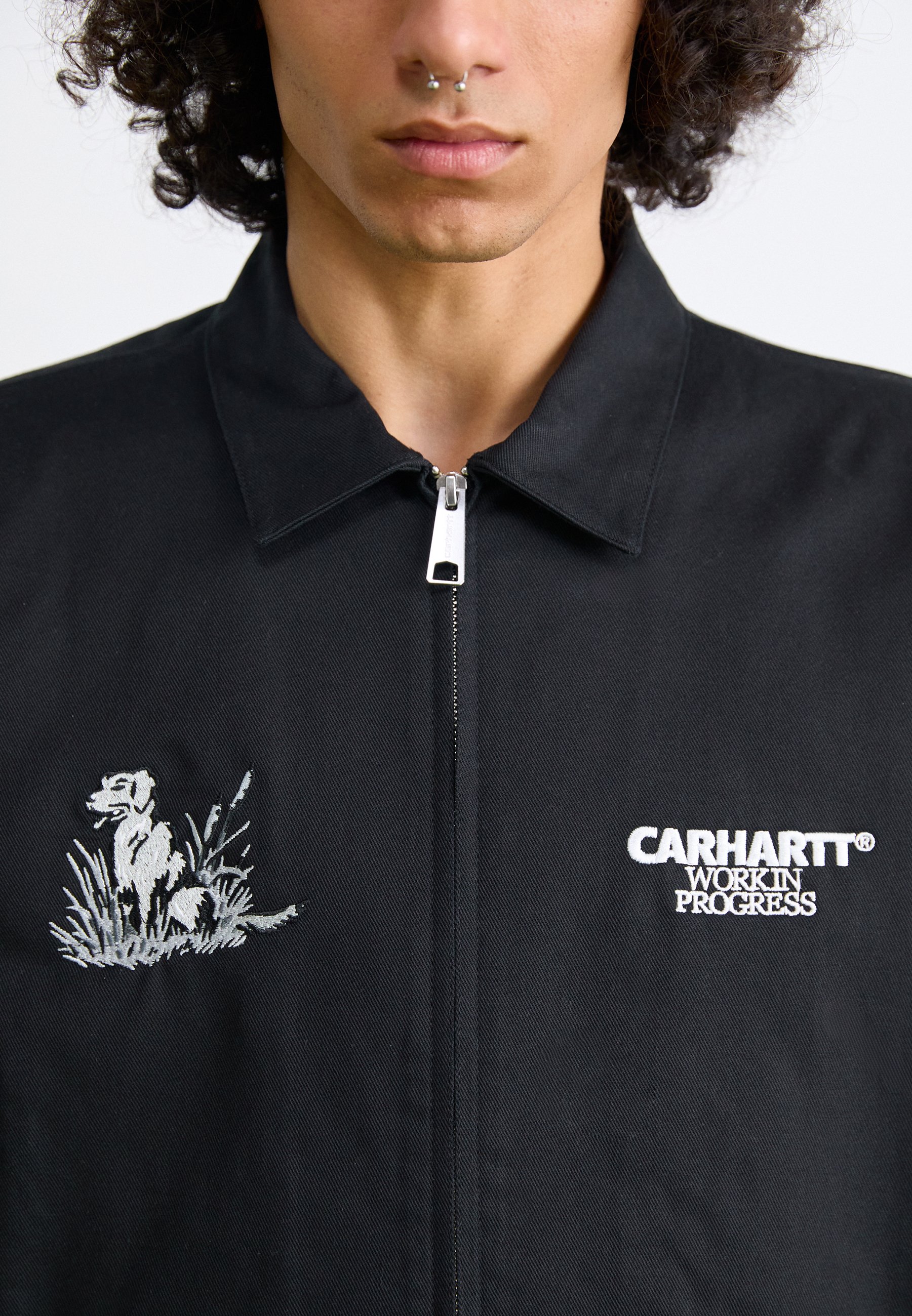 Carhartt WIP DUCKS JACKET - Leichte Jacke - black/schwarz - Zalando