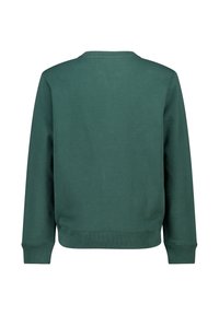 Vihreä puuvillapaita, jossa on pyöreä kaula-aukko, pitkät hihat sekä ribbireunat hihansuissa ja helmassa. Muotoilu on yksinkertainen ja siinä on sileä pinta.