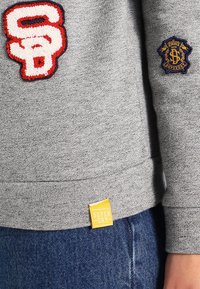 Superdry & Co Sudadera - grey