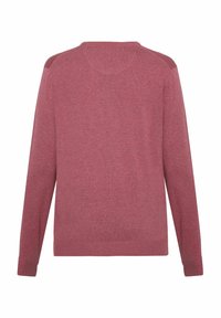 Pulover roșu cu mâneci lungi, realizat dintr-un material moale. Prezintă un guler rotund și manșete și tiv cu finisare rib. Textură netedă.