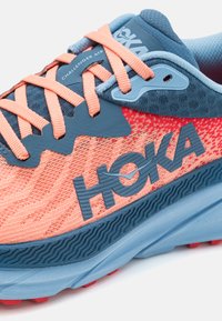 HOKA CHALLENGER 7 - Bėgimo bateliai, skirti nelygiam paviršiui - papaya/real teal