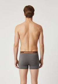 Grå boxerbriefs med prikmønster, tætsiddende design og en brun mærkevarer elastik. Beklædningen har en glat tekstur og korte ben.