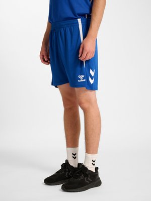 Mężczyzna noszący niebieskie sportowe szorty z logo Hummel, białe skarpety z czarnymi jodełkami oraz czarne buty sportowe, stojący na białym tle.