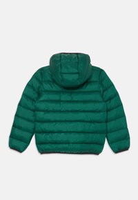 Casaco puffer verde com capuz, apresentando seções acolchoadas horizontais, uma textura suave e punhos elásticos com uma bainha preta.