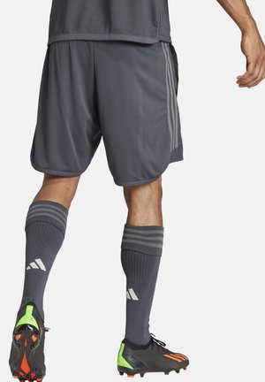 adidas Performance Kurze Sporthose - schwarz