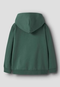 Zelená mikina s kapucí, vyrobená z měkkého materiálu, dlouhými rukávy, žebrovanými manžetami a klokaní kapsou. Pohled z zad ukazuje kapuci a lem.