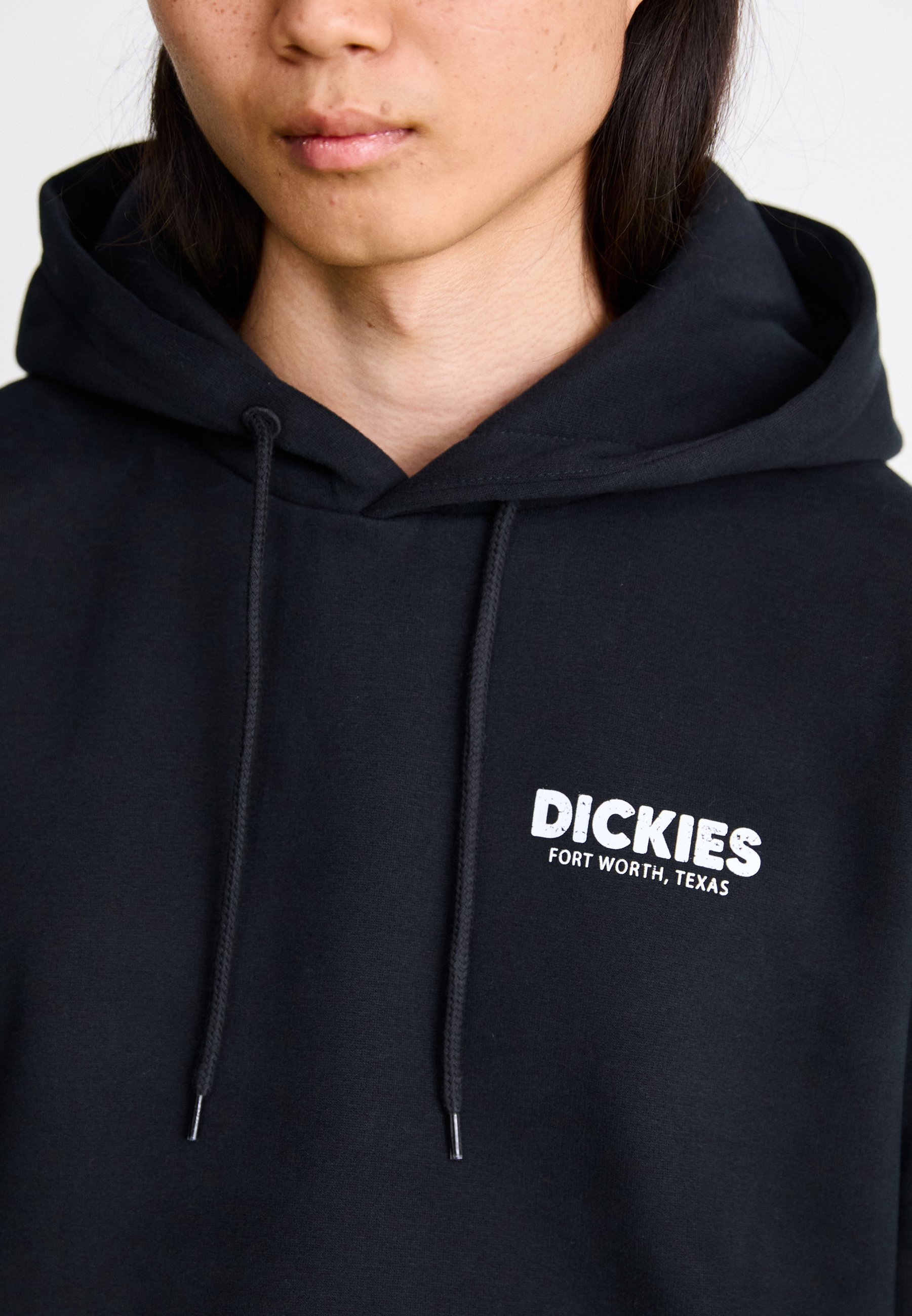 Dickies SURPLUS SHOAL CREEK BOXY HOODIE - Hoodie - black - Zalando