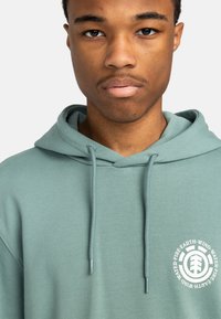 Green cotton hoodie with a drawstring hood, featuring a logo in white on the left chest area. Smooth texture and relaxed fit.