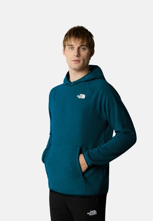 Felpa con cappuccio in pile color teal, dotata di tasca a marsupio e logo sul petto, con polsini e orlo a costine per una vestibilità sicura.