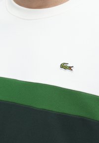 Gros plan d'un vêtement rayé vert, blanc et vert foncé avec un petit logo crocodile vert brodé sur la poitrine.