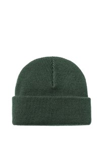Carhartt WIP UNISEX zielony