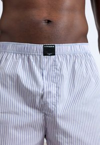 Ανδρικός κορμός που φοράει ανοιχτό μπλε και λευκά κάθετα ριγέ σλιπ με μια μαύρη ετικέτα Björn Borg στο κέντρο της ζώνης.