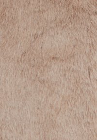 Gros plan sur une fourrure animale douce et brun clair avec des poils fins et denses couvrant uniformément la surface.