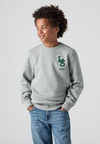 Šedá mikina s kulatým výstřihem, zdobená zeleným vy�šitým logem. V kombinaci s modrými džíny, které mají uvolněný a pohodlný střih.