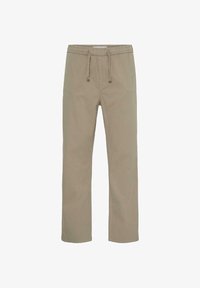 Non sélectionné, winter twig