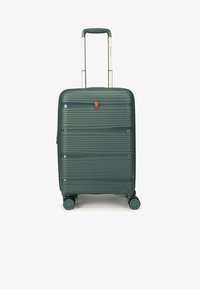 Seleccionado, dusty green